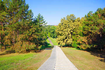 Moldova. Kishinev. City arboretum. View of the alleys and green trees and grass.