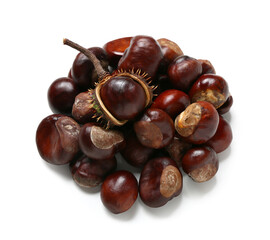 Fresh chestnuts on white background