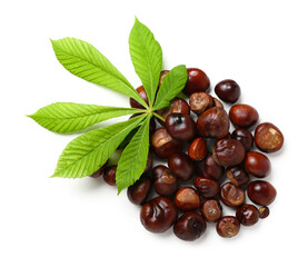Fresh chestnuts with leaf on white background