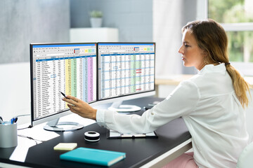 Data Analyst Woman Using Spreadsheet
