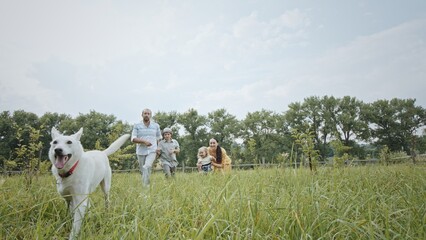 Happy family runs on lush meadow following dog in country