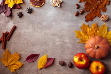 Autumn flat lay composition with copy space on gray concrete background. Pumpkins, cinnamon sticks, apples, nutmeg, anise and acorns laid out in a frame on a surface