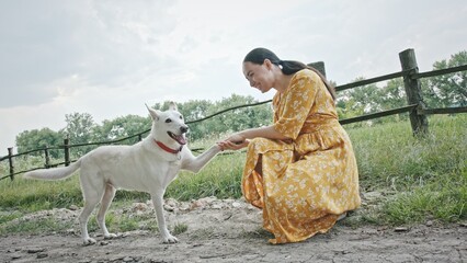 Happy woman petting dog in countryside. Pan around zoom out view of brunette in yellow dress caressing loyal white dog then shaking paw and talking to animal while sitting on haunches near fence on