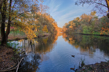 Fototapeta premium Autumn colors by the river