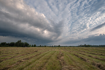 Fototapeta na wymiar Storm in the sky over the field