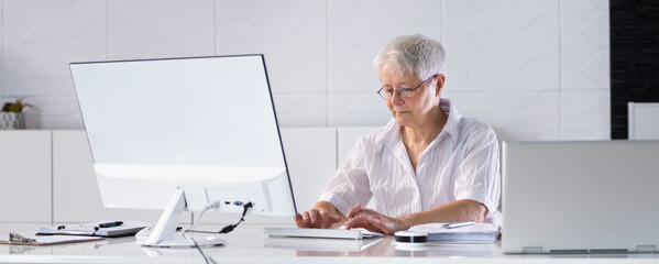 Business Accountant Using Calculator