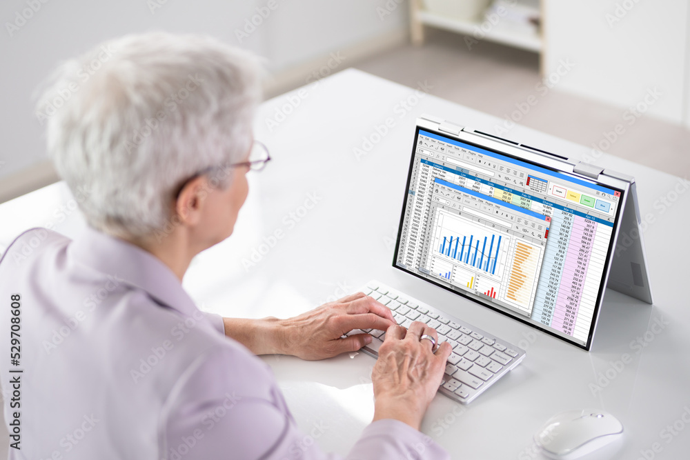 Poster electronic spreadsheet analyst or auditor using software
