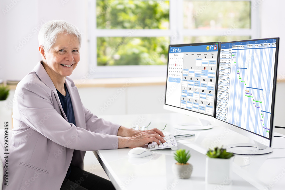 Poster Woman Working On Gantt Chart Using Computer
