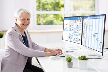 Woman Working On Gantt Chart Using Computer