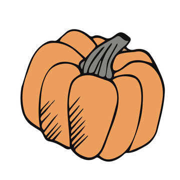 Flat colorful pumpkin illustration. Abstract flat colorful pumpkins for decoration design. Flat vector illustration character.