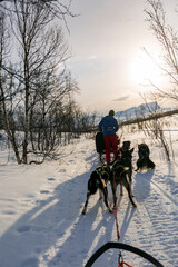Giro in slitta con i cani ad Abisko nel circolo polare artico in Svezia.