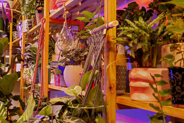 An Image of a Flower Shop with exotic potted plants.