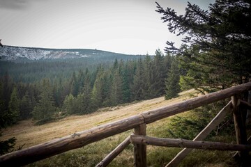 Fototapeta na wymiar Krajobraz górski - Karkonosze. Widok na wzgórza, lasy i szczyty górskie