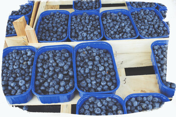 Closeup of fresh blueberries on a farmers market, faded colors