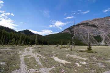 Saskatchewan Glacier, AB, Canada