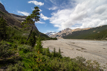 Saskatchewan Glacier, AB, Canada