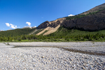 Saskatchewan Glacier, AB, Canada