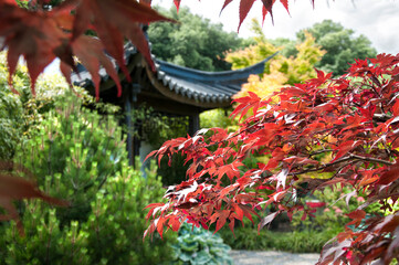 Suzhou Chinese Garden