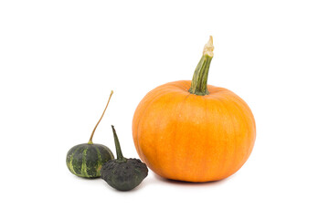 Pumpkin isolated on white background