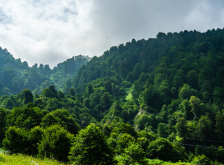 Fototapeta na wymiar Caucasus mountain in georgian region Guria