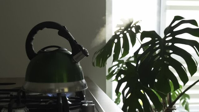 A green teapot boiling on a gas stove over an open flame. Kettle with boiling water on a gas stove with the steam plume clearly visible. Teakettle boiling with steam emitted from the spout