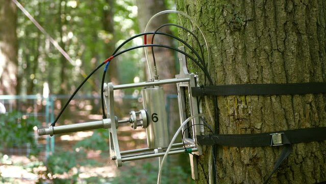 Respiration tree science scientific measurement station technology trunk on display technological monitoring carbon dioxide, co2 global change, sensor data machine instrument, climate change