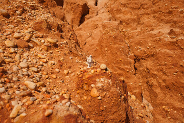 astronaut exploring mars, concept