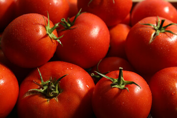 Fresh ripe red tomatoes as background, closeup