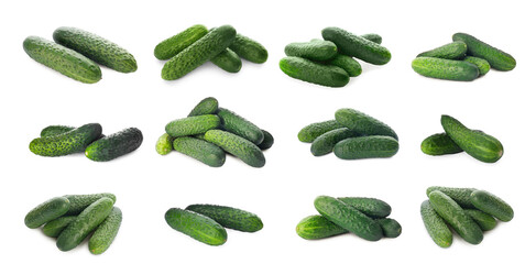 Set with whole ripe cucumbers on white background. Banner design