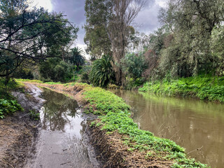 Fototapeta na wymiar Flooded Merri Creek and bicycle path, Brunswick East, Melbourne.