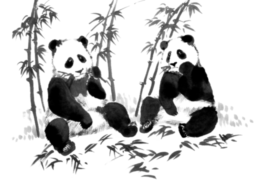 Watercolor illustration of panda with a branch of bamboo. Traditional chinese ink and wash painting isolated on white background