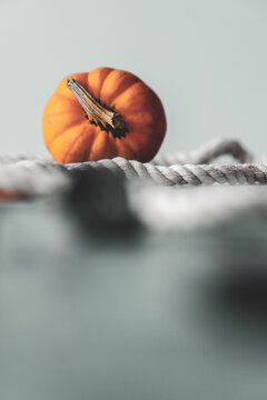 Simplistic Composition with a Small Pumpkin and Rope