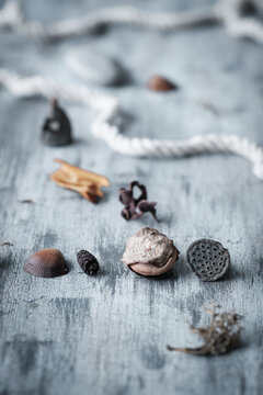 Dry Autumnal Objects Collection on Rustic Tabletop