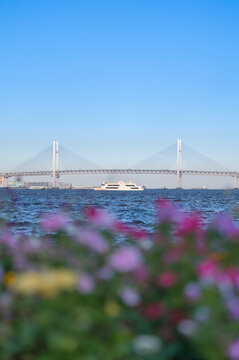 横浜ベイブリッジと船