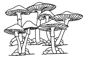 Mushroom Line Art Vector