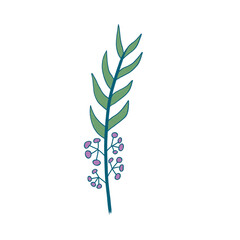 Aesthetic flowers crayon 
