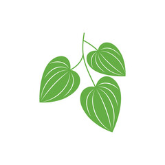 Betel leaf logo icon vector