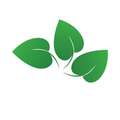 Betel leaf logo icon vector