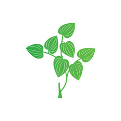 Betel leaf logo icon vector