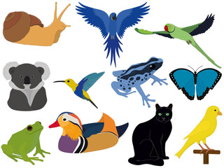 Collection of different animals, birds, insects and amphibians for compositions and collages