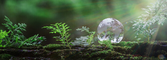 Globe planet glass in green forest with bokeh nature lights. world environment day. concept of...