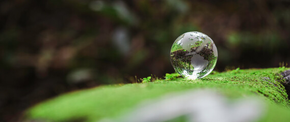 Globe planet glass in green forest with bokeh nature lights. world environment day. concept of...