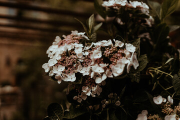 Blumendeko auf Hochzeit