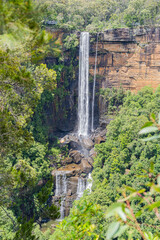 Fototapeta na wymiar Fitzroy Falls, New South Wales, Australia 