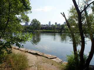 lake in the park