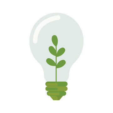 light bulb with a plant