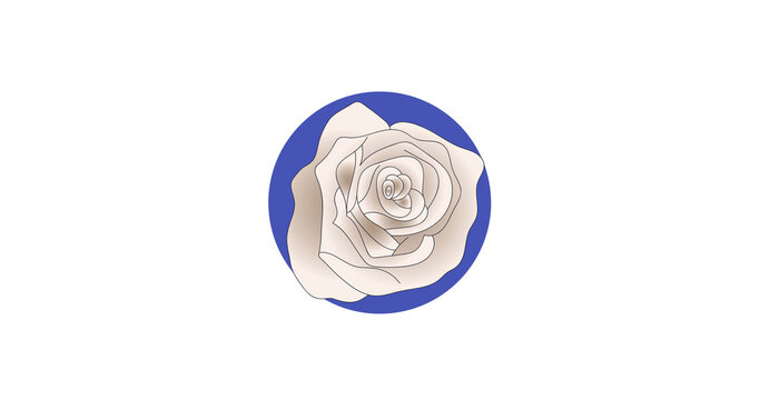 Image of white rose and blue round shapes on white backgroud