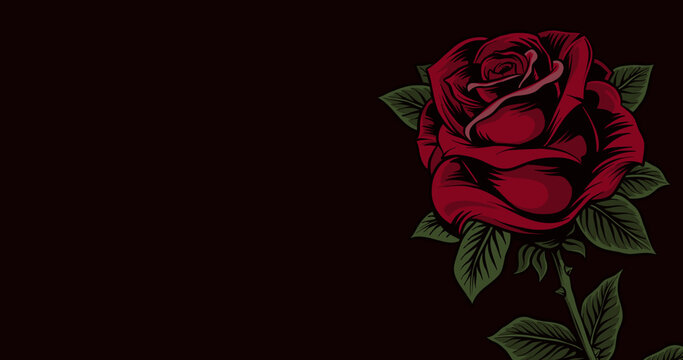 Image of single red rose moving, with copy space on black background
