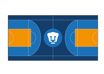 Cancha de Basquetbol y Futbol UNAM © IrvinFernando