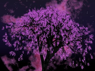 幻想的な桜と夜空